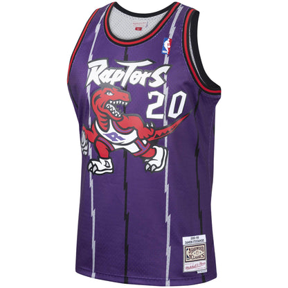 Men's Damon Stoudamire Toronto Raptors Mitchell & Ness 1995-96 Hardwood Classics Swingman Jersey - Purple